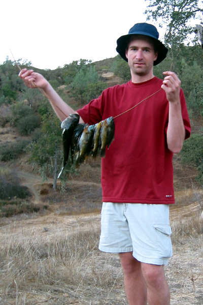 Henry Coe